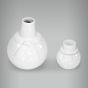 Moringa Boneco de Neve 4