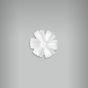 Aplique Flor Cravina 1