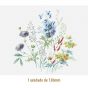 D_Meadow_130mmx1un_A.JPG