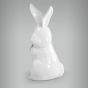 Coelho-Porcelana-08b.jpg