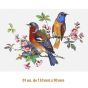 D-BEAUTY-BIRDS-130-6.jpg