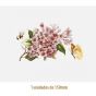 D_Pink_Branch_150mm_1un.jpg