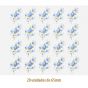 D_Little_Blue_Rose_65mmx20un_A.JPG
