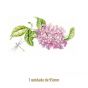 D_Lilac_Branch_95mmx1un_A.jpg