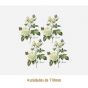 D_Tea_Rose_110mmx4un_A.JPG