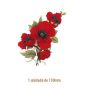 D_RED-Poppy_130mmx1un_A.jpg