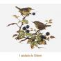 D_Wren_150mmx1un_A.JPG