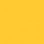 LEMON-2.jpg