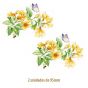 D_Yellow-Branch_95mmx2un_A.jpg