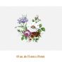 D-Bouquet-C-75x70mm-7.jpg