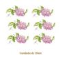 D_Lilac_Branch_50mmx6un_A.jpg