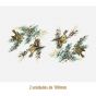 D_Goldcrest_100mmx2un_A.JPG