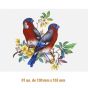 D-BEAUTY-BIRDS-130-1.jpg