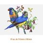 D-BEAUTY-BIRDS-130-2.jpg
