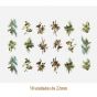 D_Mix_Of_Birds_22mmx18un_A.JPG