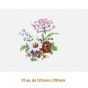 D-Bouquet-A-120x100mm-6.jpg