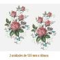 D_Little_Rose_A.jpg