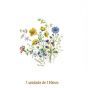 D_Field_Flower_130mmx1un_A.jpg