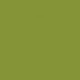 ANISEED-2.jpg