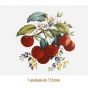 D_Cherry_135mmx1un_A.JPG