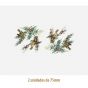 D_Goldcrest_75mmx2un_A.JPG