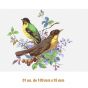 D-BEAUTY-BIRDS-130-4.jpg