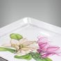 Magnolia - 185mm