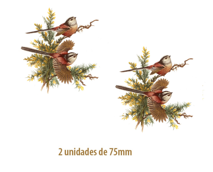 LongTailed-75mmx2un.png