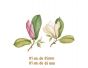 D_Magnolia_65mm-85mm_2un.jpg