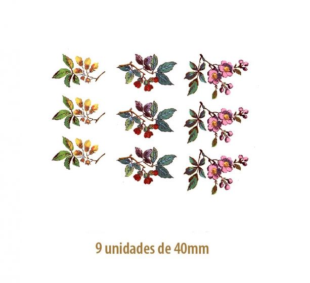Beauty_Flowers-40mmx9un.jpg