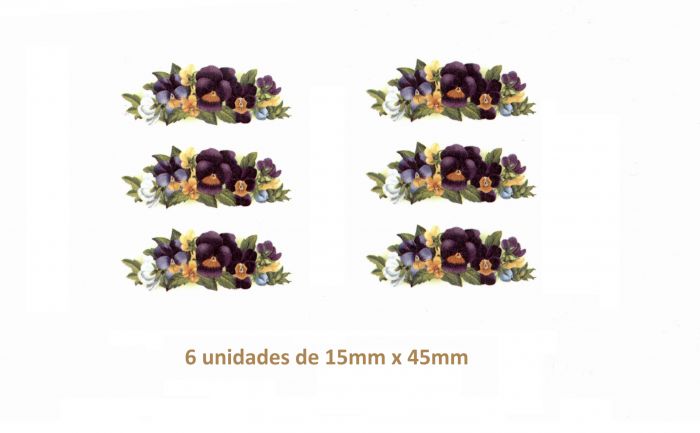 Antonieta F - 15mm x 45mm 1