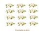 Mistflower-J-40mmx12un.jpg