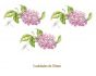 D_Lilac_Branch_70mmx3un_A.jpg