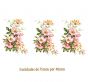 D_Wild-Rose-75x40x3un.jpg