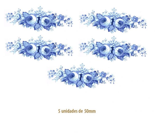 Silvia-Azul-50MMX5UN.jpg