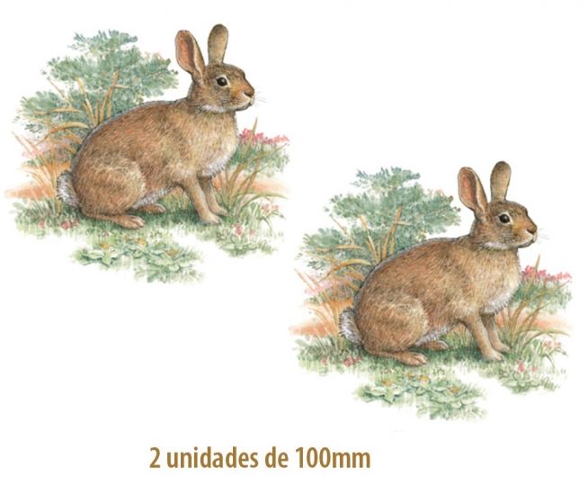 Rabbit_100mmx2un.jpg