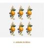 D_Lemon_60mmx6un_A.jpg