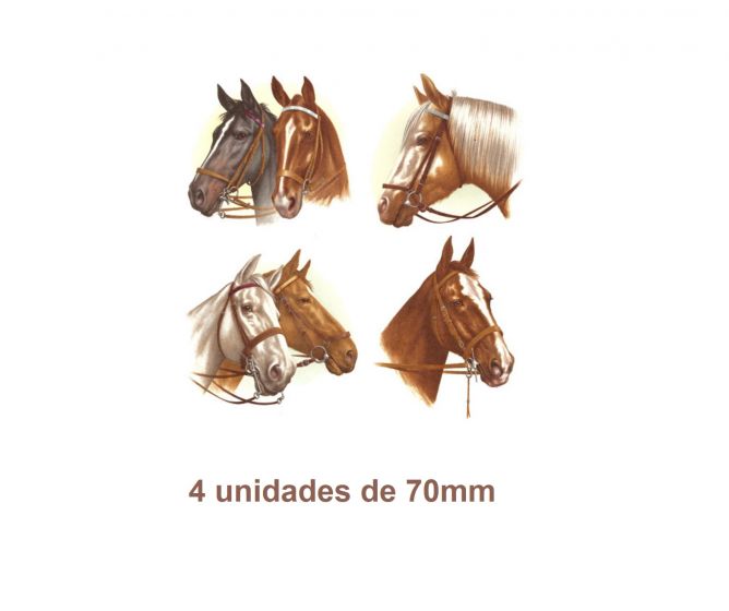 Horse-70mm.jpg