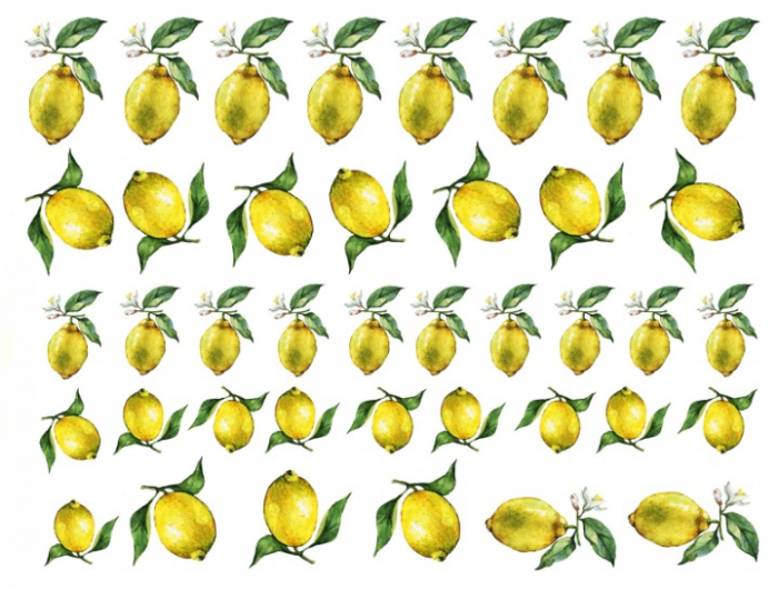 Limões Sicilianos Piccolo 1