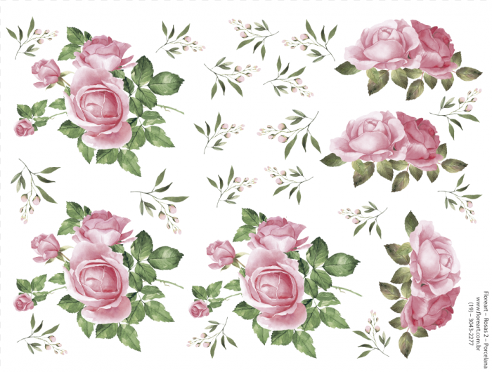 Rosas 02.png