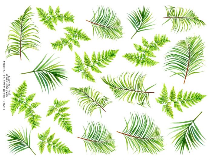 Leaves.jpeg
