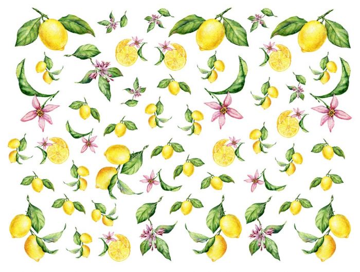 Mini Lemons - Porcelana 1