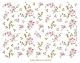 Cherry Blossoms 1