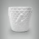 Vaso Arara