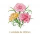 Carnation - 120mm x 1un 1