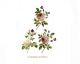 Marite Roses - 50mm 1