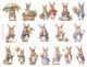 Bunny Bake Time 2 - Vidro 1