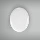 Placa Oval 8x10cm - X080 1
