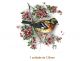 BIRD-ON-CHERYBLOSSOM-135mm.jpg