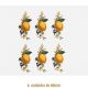 D_Lemon_60mmx6un_A.jpg
